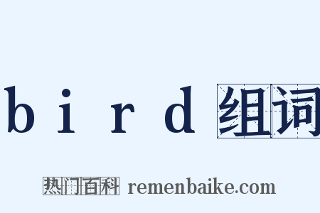 bird组词是什么意思的图片